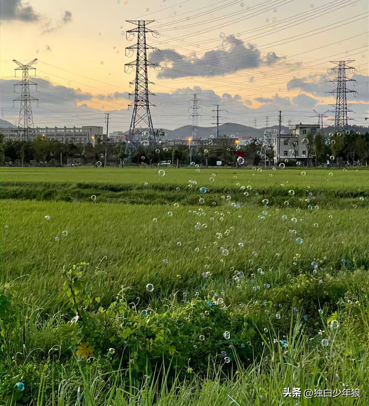 中年人失业做什么好_中年失业后适合的工作_有谁能和我一起开个劳务中介