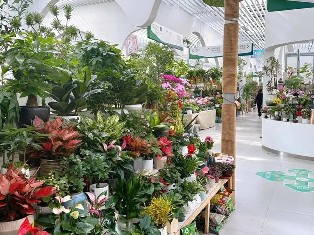 冬天不冷的秘密！就藏在玉泉营