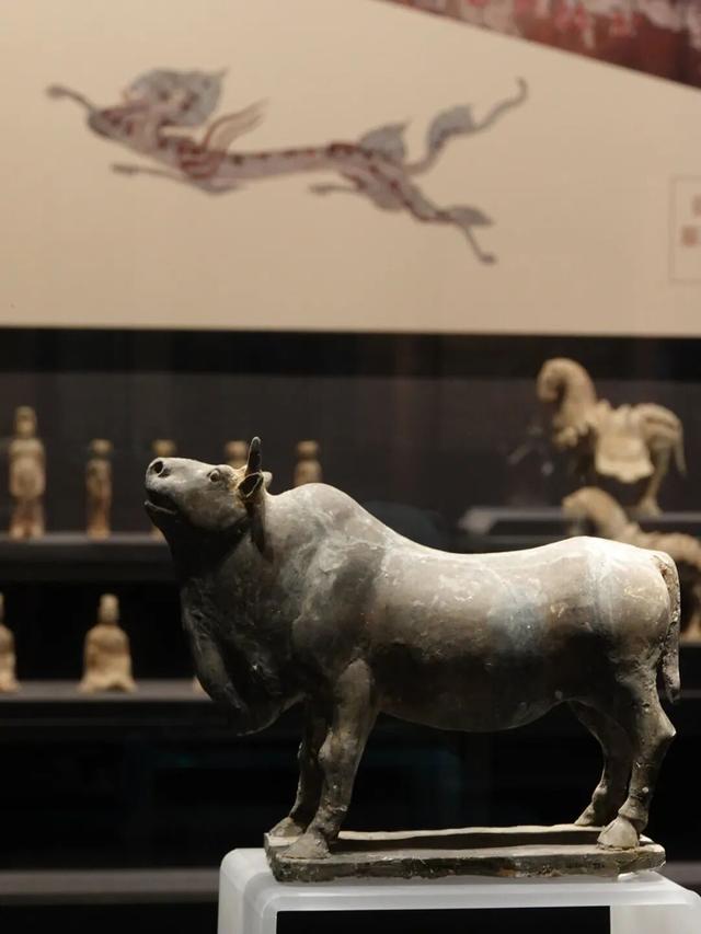 河北磁县，北朝考古博物馆笔记，迷你兵马俑和1：1复制的皇帝墓