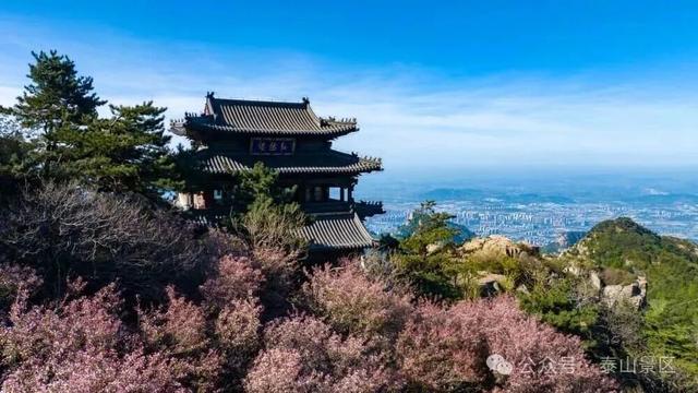 我想离开浪浪山，去看看泰山的四季轮转！