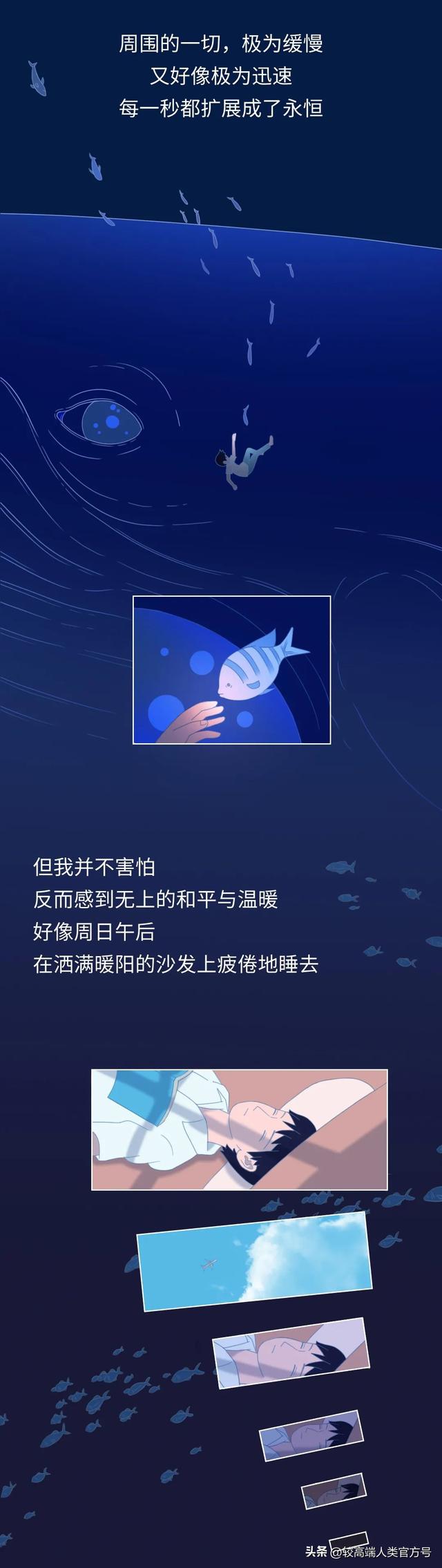 死亡前的30秒，人会看见什么？