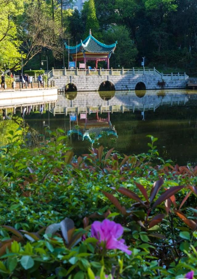 游在鹰潭｜一日暴走指南！3000年古窑+城市绿肺+潮流夜市，承包你的古今快乐!