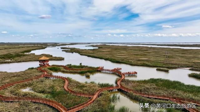 【情满双节游东营】​黄河口生态旅游区 国庆精彩瞬间 美好永不散场