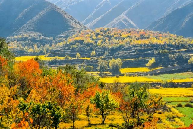 【白银文旅】冬已至秋渐远，再赏一波靖远的秋