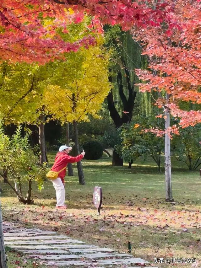 崔纪松诗歌：不负时光(外七首)