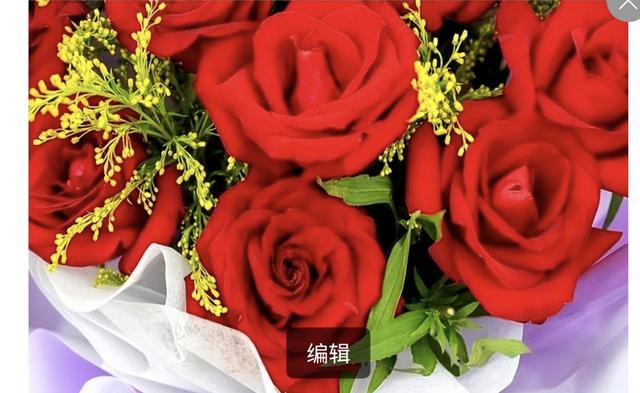 相遇一场，思念一生，入了心的你，怎能轻易忘记？