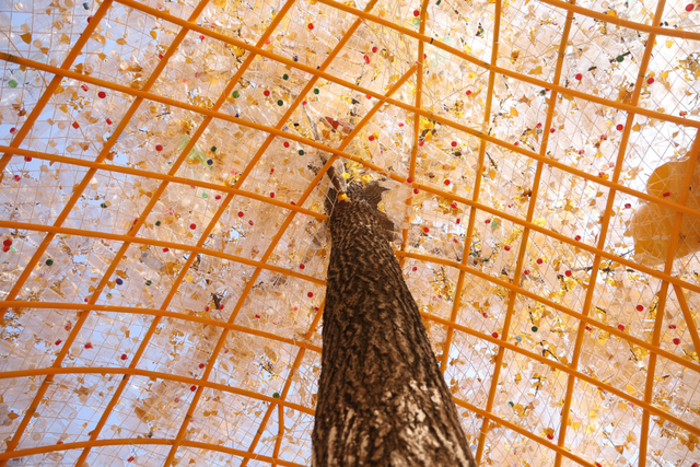 没扫的落叶，都去哪儿了？拱墅这片银杏林靠它火了