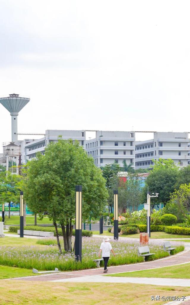 逃离城市热浪！东莞这个秘密花园藏不住了