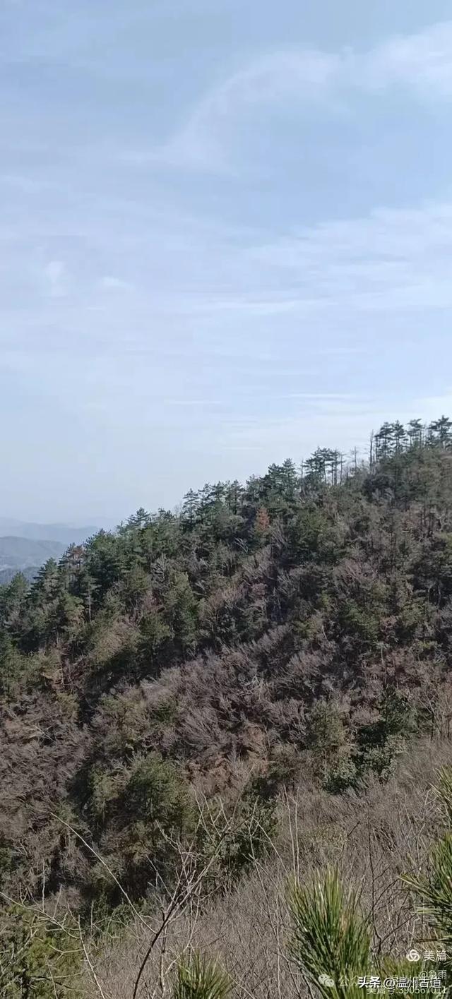 探秘楠溪江源头!这条海拔千米以上的草甸山脊只有极少数驴友知道