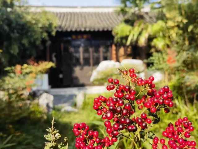 霜染秋深,向暖而行