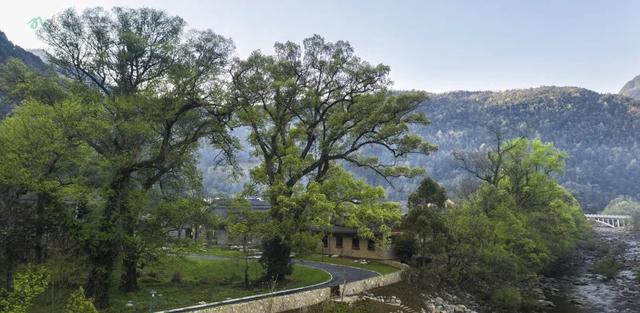 解锁牯牛降的文化密码 | 生态密码：绿色自然博物馆