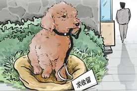这些原因就让你轻易选择弃养宠物？图片