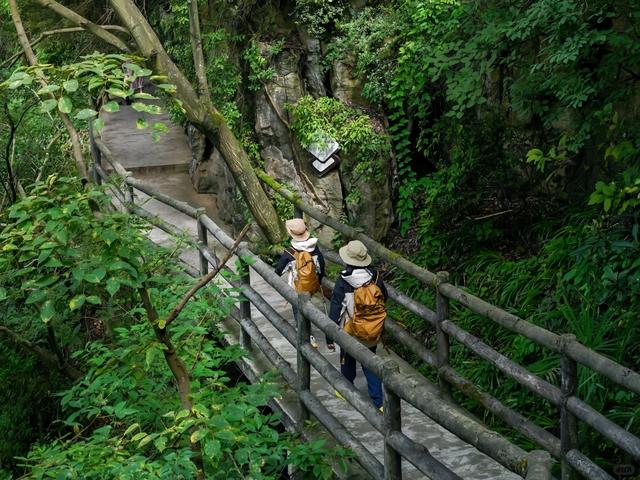 九皇山重阳登高正当时！打卡领奖牌活动引客来，仪式感拉满