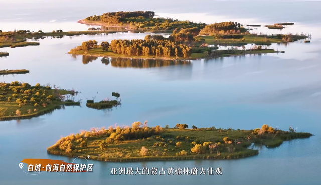 川渝旅企：对不起，这个秋天我选吉林！