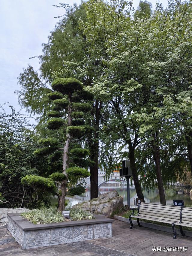 桂香袭来，在秀湖公园闻花香，读一读杜甫的诗，在亲水步道走一走