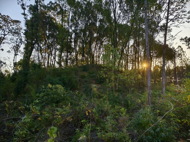 历史变迁，岁月留痕，到访衡阳县道子坪一号晋墓:银山