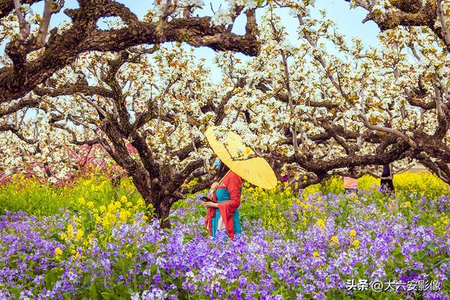 春光明媚 跟着摄影师镜头畅游美丽中国