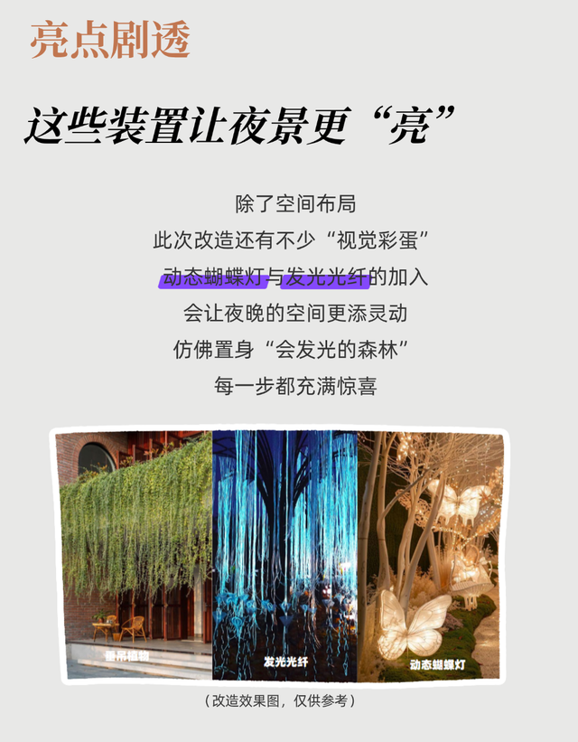 期待值拉满~南山一棵树观景台升级中，夜景C位即将焕新！