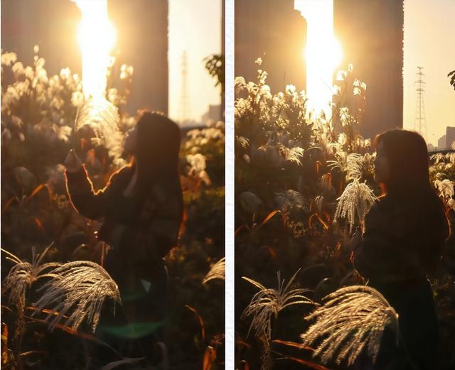 不用去南京，长沙也藏着 “梧桐秘境”！遛娃拍照美到窒息！