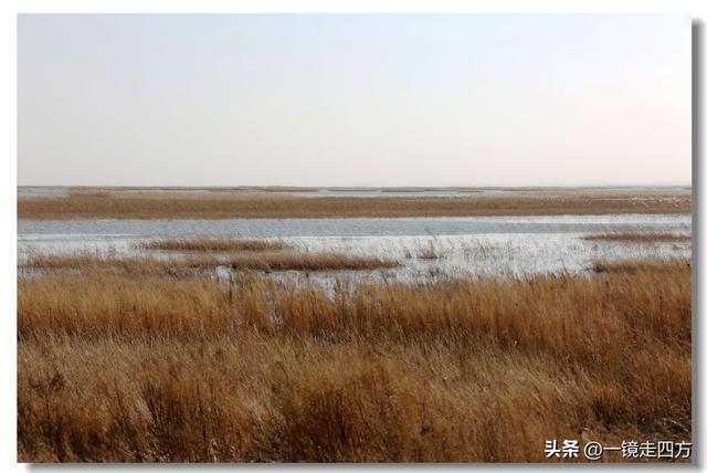 深秋时节，走进长春农安的波罗湖湿地