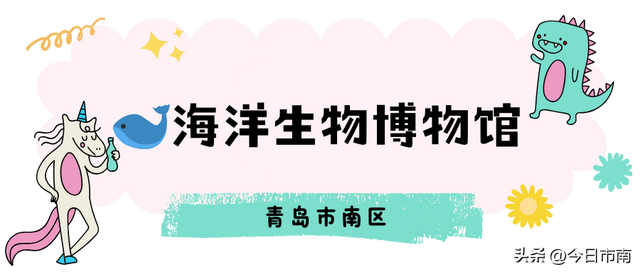 来市南，看虎界“刘亦菲”！与“神奇动物”零距离～