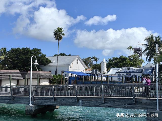 美国最南端的文艺小岛Key West(迈阿密游记四）