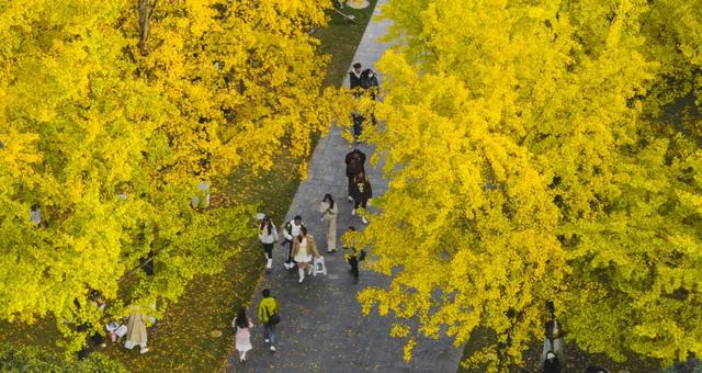 重庆园博园美出新高度！随手一拍都超超超出片→