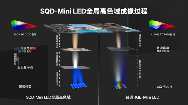 TCL SQD-Mini LED横空出世，来给行业“立个规矩”