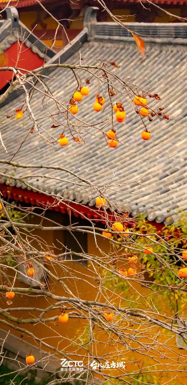 冬韵台儿庄，一键收藏古城的静谧时光