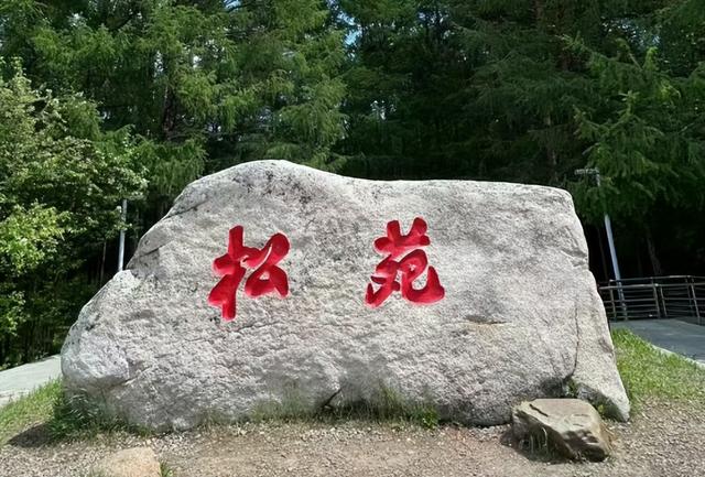 一路向北向自然！感受大兴安岭多元魅力