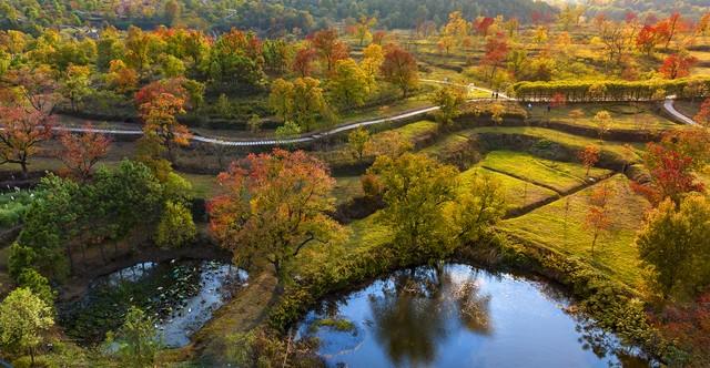 孝感的秋天很短，但这些美好很长｜秋日治愈这6个理由让我去了3次
