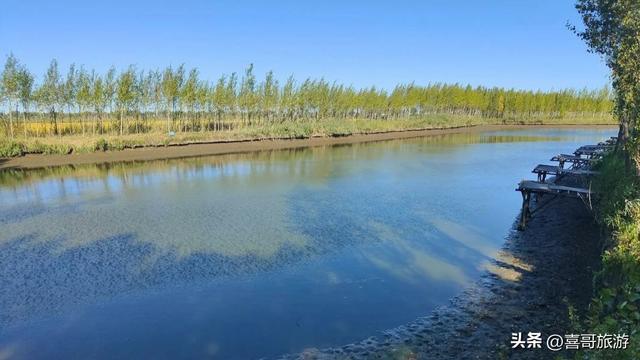 松原莲花源：塞北江南的千亩莲海与湿地秘境