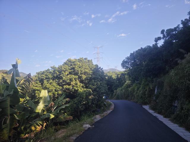 从丽康路穿荔园溪谷至西丽湖绿道骑行随拍