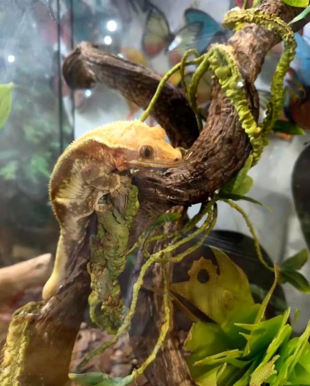 潍坊人有自己的“疯狂动物城”！冲！冲！冲！