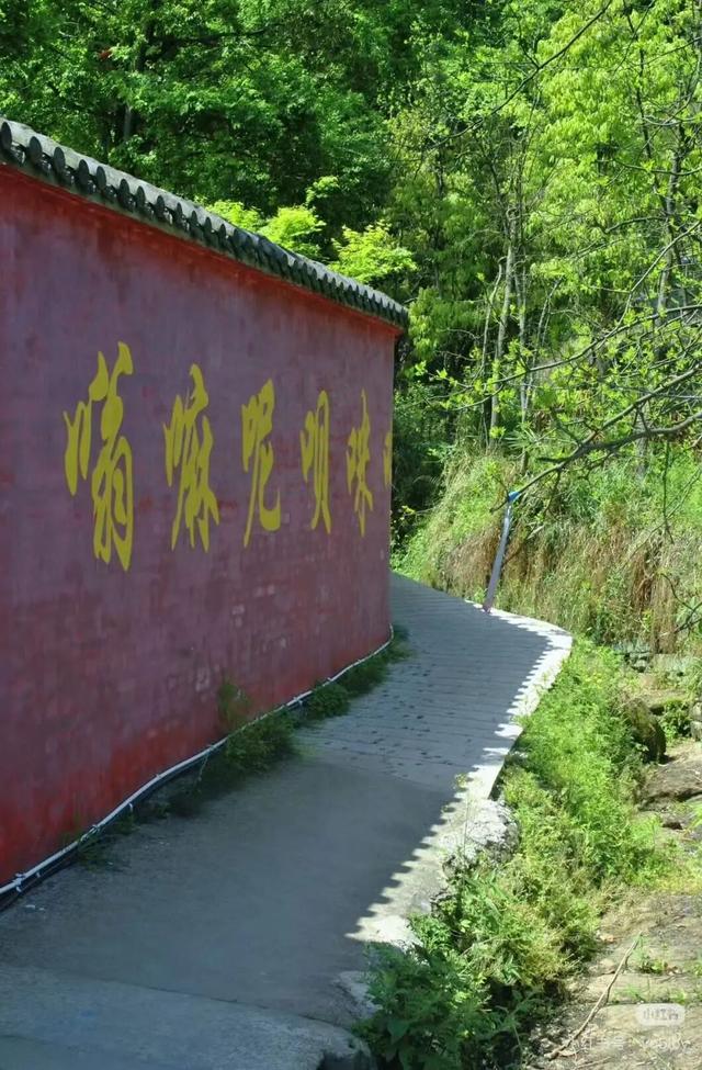 周末出国！高铁20min直达最美异域小城！风光极致美食无敌，入秋满城银杏美哭！