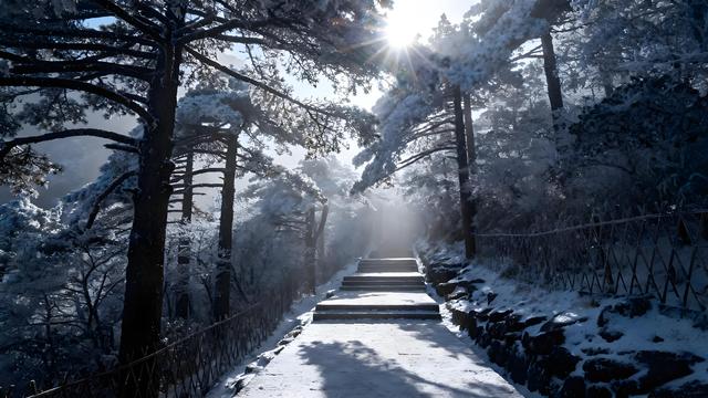 初雪染黄山 仙境入画来 —— 初冬秘境深度游纪