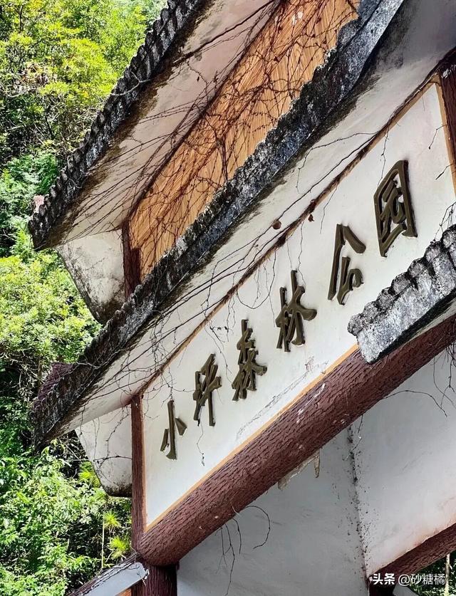 厦门徒步+神庙逃亡太酷辣！被种草的天然氧吧，太惬意啦~