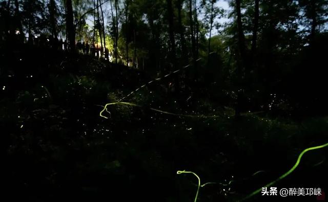 这个国庆，天台山双徒步活动上线！两类玩法任你选，奖牌拿到手软！