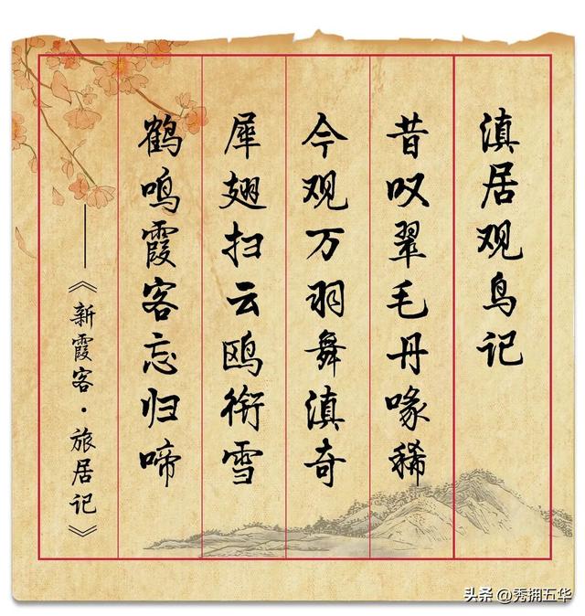 冬之云南 万羽衔霜｜新霞客·旅居记