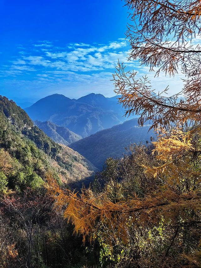 2024深秋四川行19 神农架风景区2 华中屋脊的五彩秘境