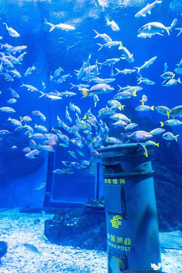 东西湖这些景区请老师免费玩、半价嗨！