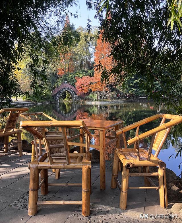 成都被私藏的彩林公园，流金溢彩，充满老城烟火气，地铁公交直达