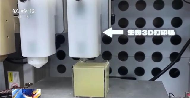 耳朵、骨骼、心脏、喉管……这些类器官能3D打印了！
