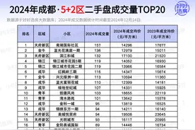 成交量史高！成都各区最好卖的20个楼盘图片