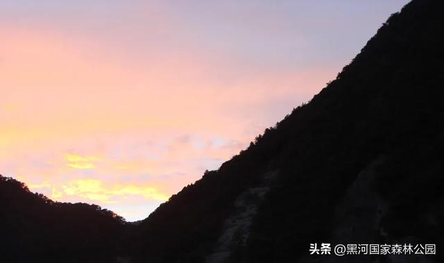 秋意漫染黑河，清风轻吟，邂逅一场如诗的秋日美景