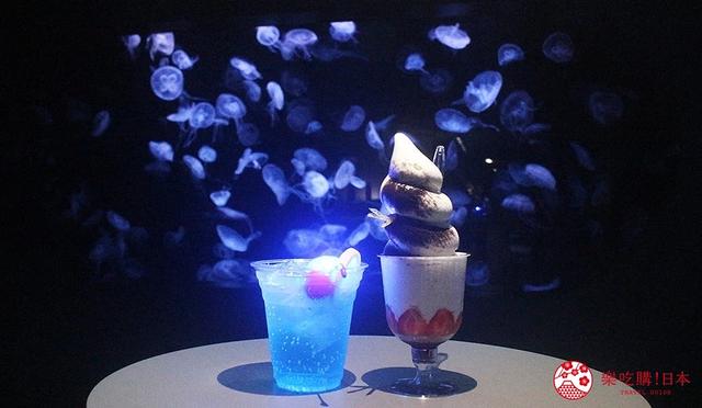 夜游札幌景点推荐「AOAO SAPPORO」水族馆:狸小路地下街直达