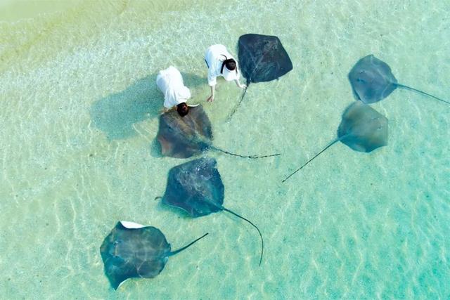 分界洲岛错峰游 | 摸鱼、玩海玩到飞起～