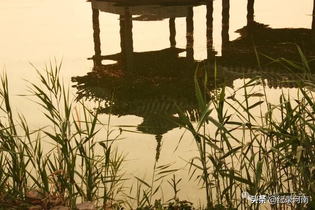 盛夏的商丘古城，希望清明上河园入住后早日实现一日梦回几百年