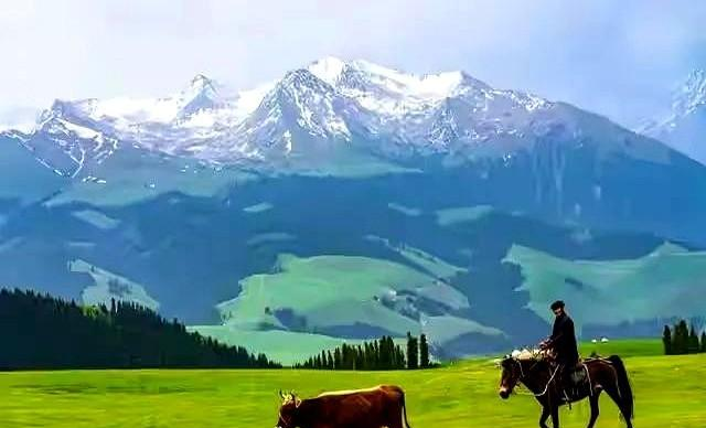 发现一个现象：父母有退休金的家庭，基本上会有这几种共性