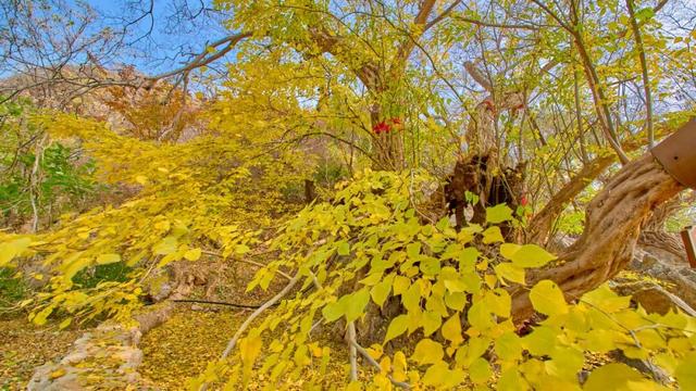 太全面了！8条游玩线路+京郊汤泉！带您玩转北京这里！（1）